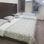 401- * 비옐리나